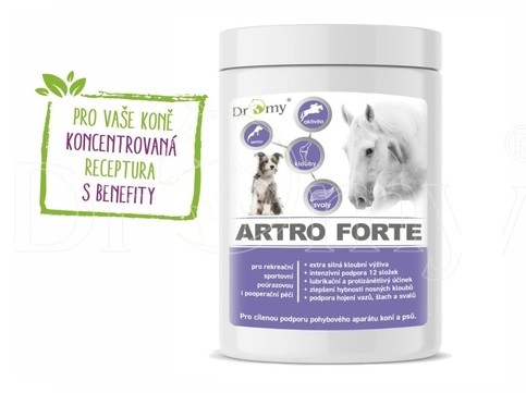 Dromy Artro FORTE 750g